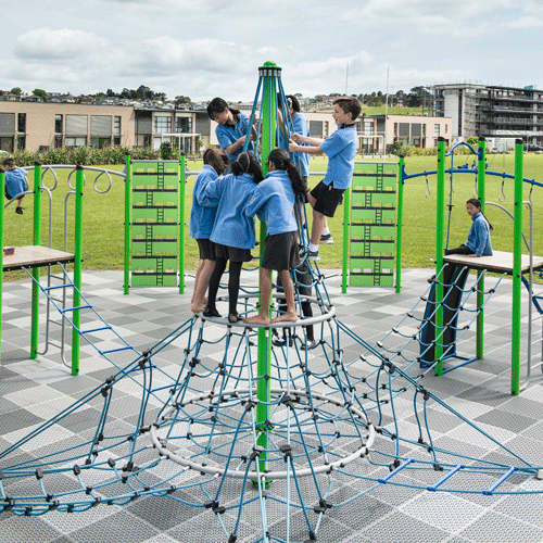 Presas de escalada - Kiwi Play Ground