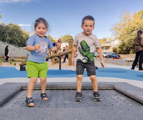 Accessible Trampoline In-Ground - Park Supplies (1)