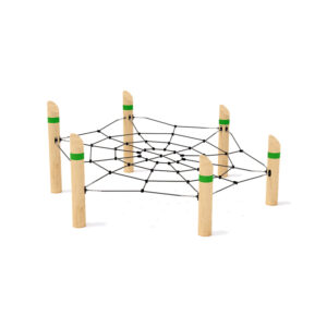 Tree Top Spiders Web