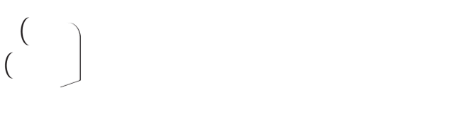 Park Supplies & Playgrounds PlayBlox Logo (white)